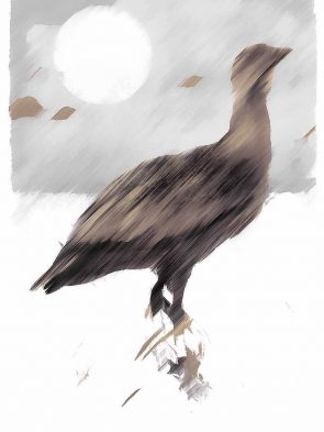 d79aaf9bc7b21c514a4bf7e5d540a13a